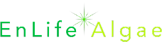 EnLife Algae Logo with Spark 1-1