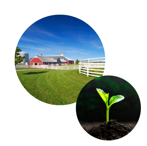 Farm Circle Pic Website