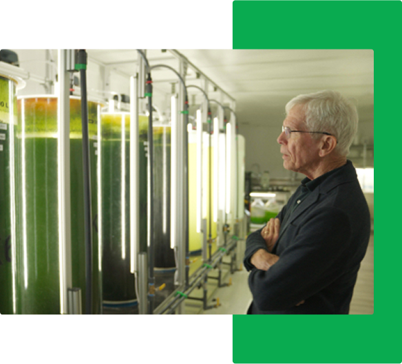 EnLife Algae