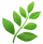 🌿-Sep-17-2025-10-08-52-7957-AM