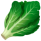 🥬-Sep-25-2025-05-27-31-3979-AM