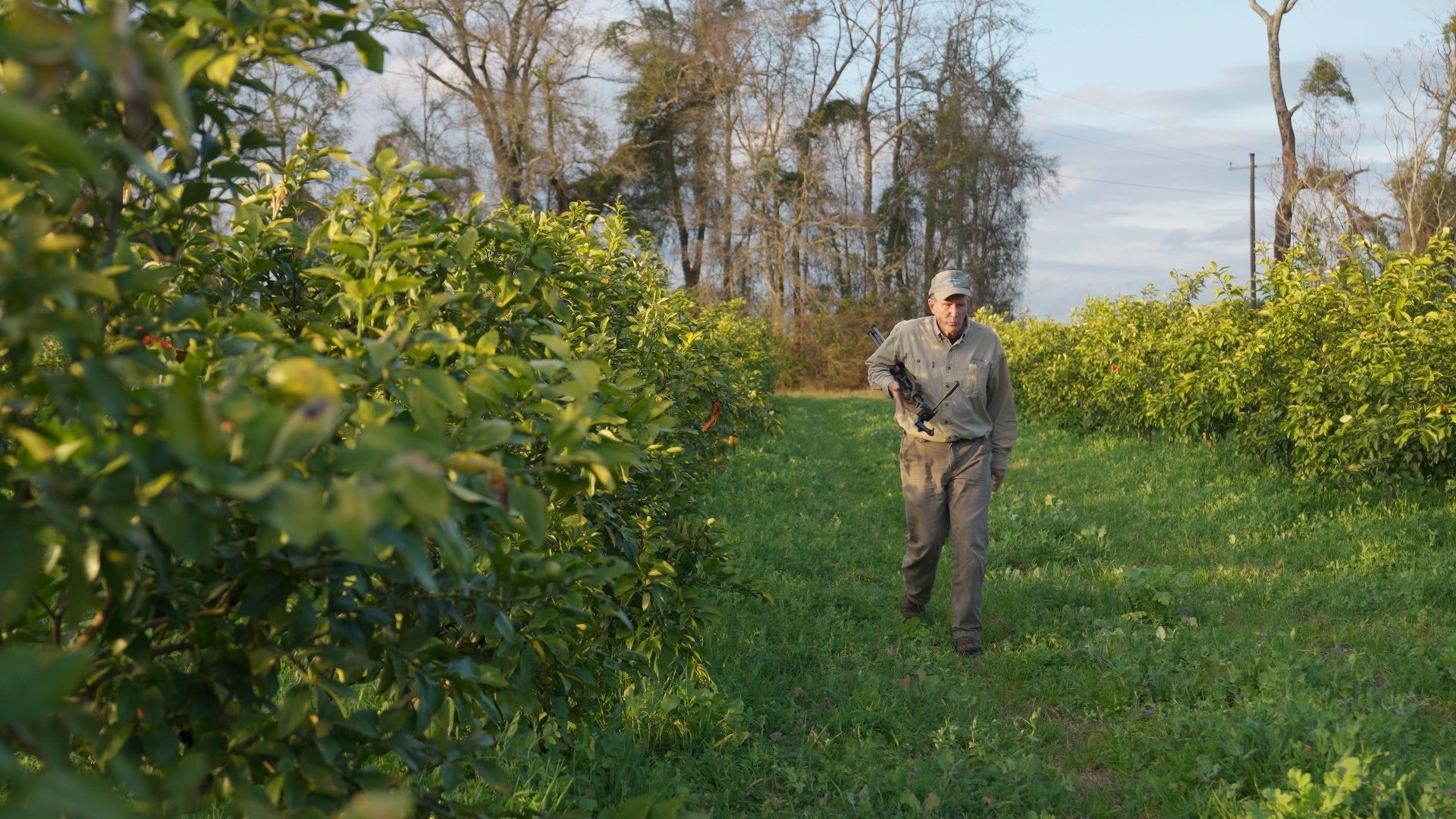 Citrus Farm - Herb Young Stringout.01_01_21_10.Still025-1